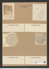 Pseudauliscus peruvianus (Grev.) Rattr. (de-Toni-Nr.: Genus 172, Species 4413) Zeichnungen Sammlung Grunow Nr. 7975 (NHMW-BOT-W0377267)